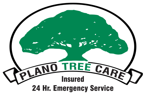 Plano Tree Care Logo